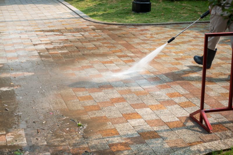 Paver Cleaning detail