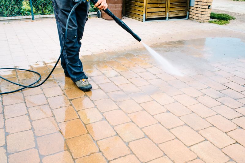 Paver Cleaning detail