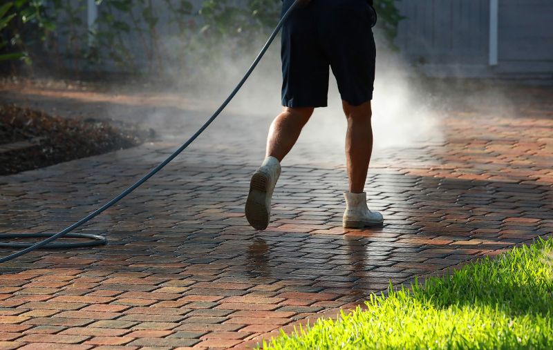 Paver Cleaning detail