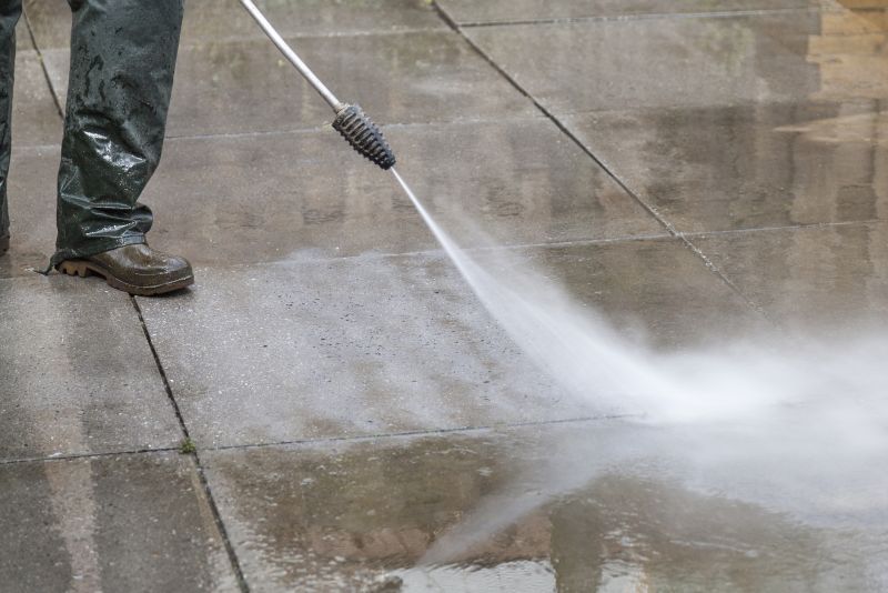 Paver Cleaning detail