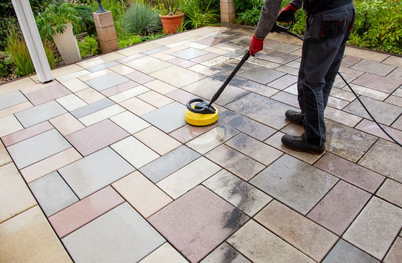 Paver Cleaning detail